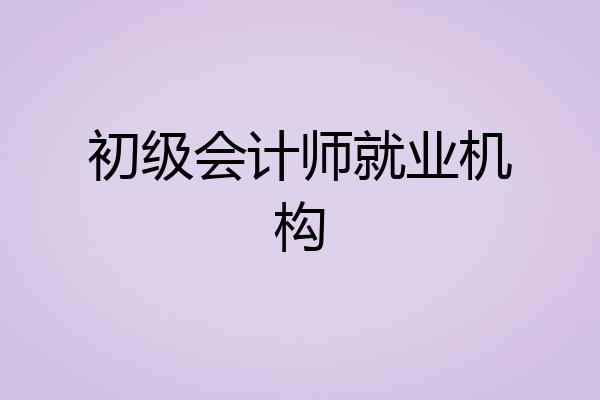 初级会计师就业机构