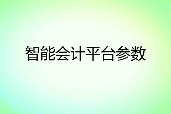 智能会计平台参数