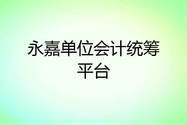 永嘉单位会计统筹平台