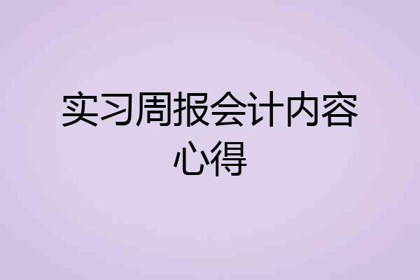 实习周报会计内容心得