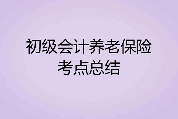 初级会计养老保险考点总结