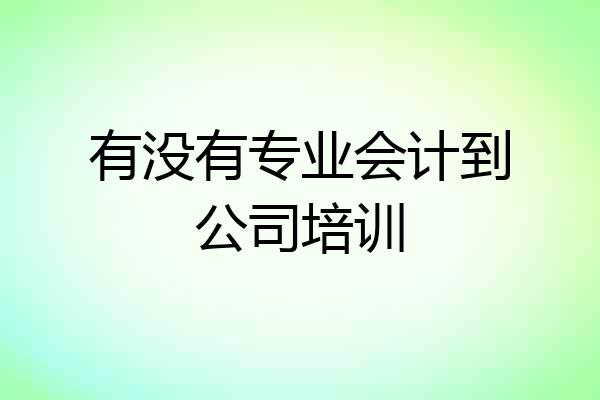有没有专业会计到公司培训