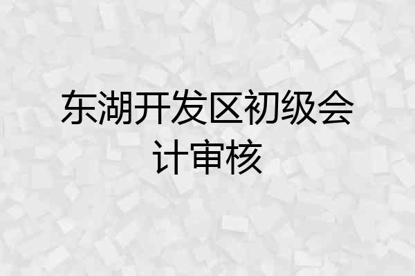 东湖开发区初级会计审核