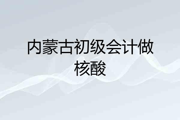 内蒙古初级会计做核酸