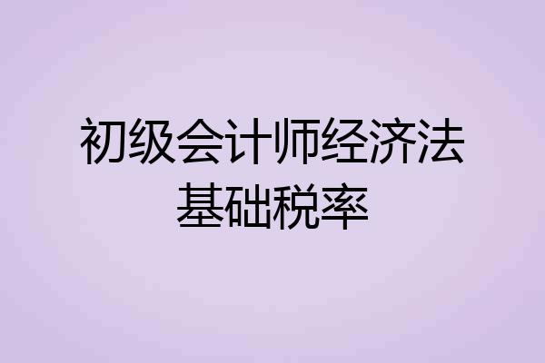 初级会计师经济法基础税率