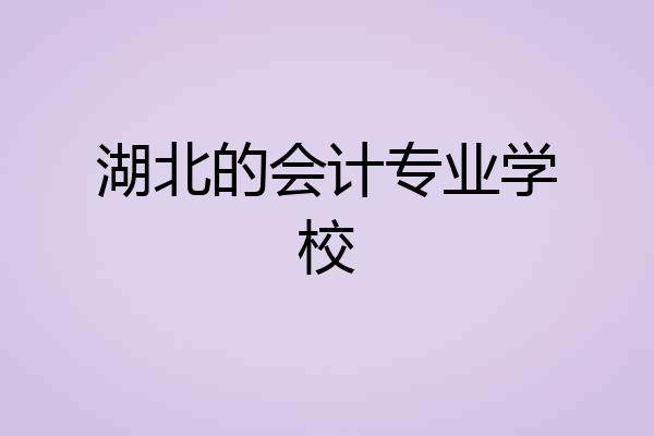 湖北的会计专业学校