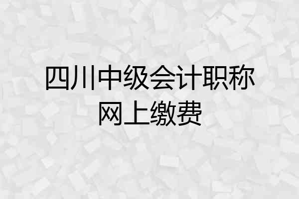 四川中级会计职称网上缴费