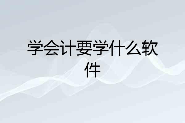 学会计要学什么软件