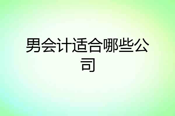 男会计适合哪些公司