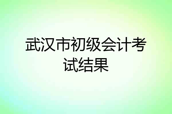 武汉市初级会计考试结果