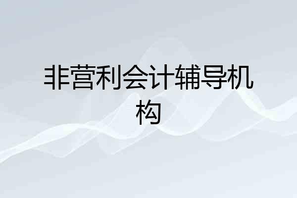 非营利会计辅导机构