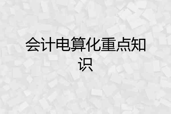 会计电算化重点知识
