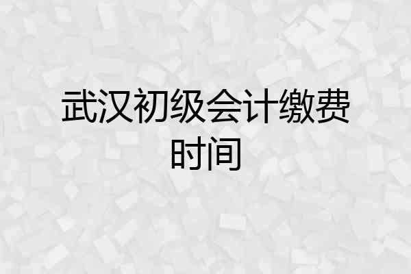 武汉初级会计缴费时间