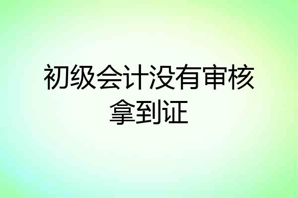 初级会计没有审核拿到证