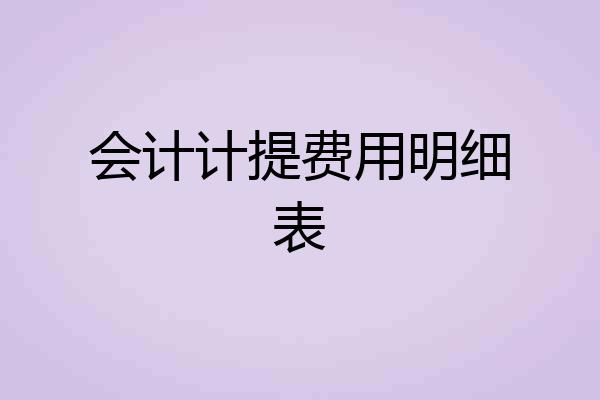 会计计提费用明细表