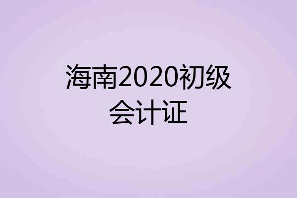 海南2020初级会计证