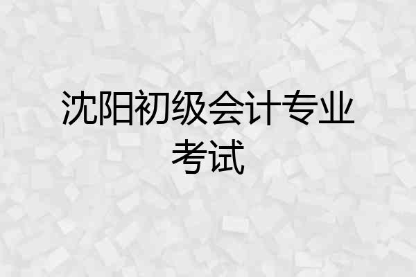 沈阳初级会计专业考试
