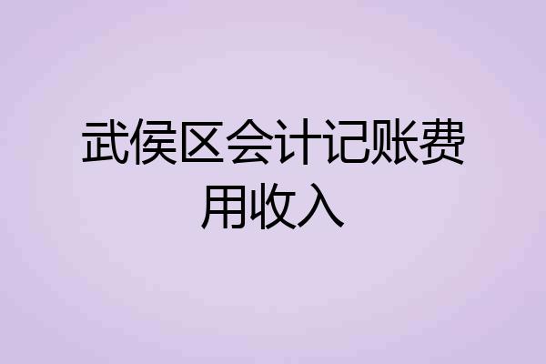 武侯区会计记账费用收入