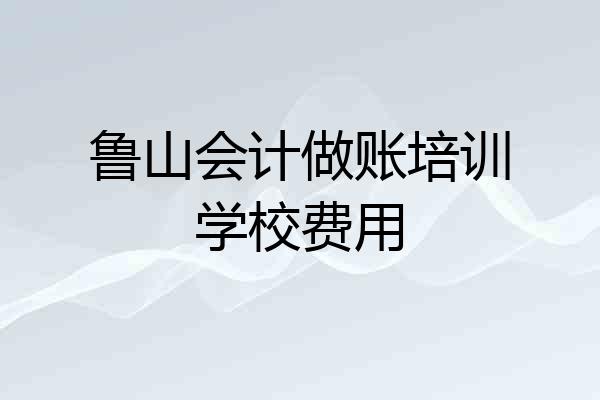 鲁山会计做账培训学校费用