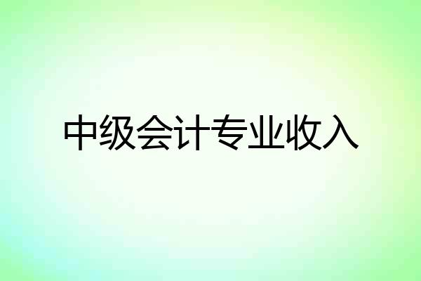 中级会计专业收入