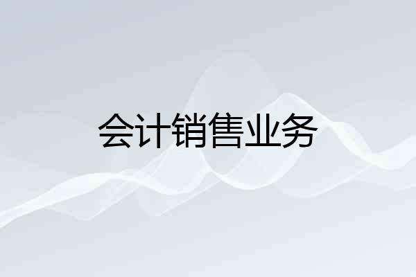 会计销售业务