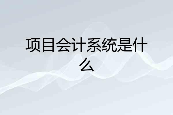 项目会计系统是什么