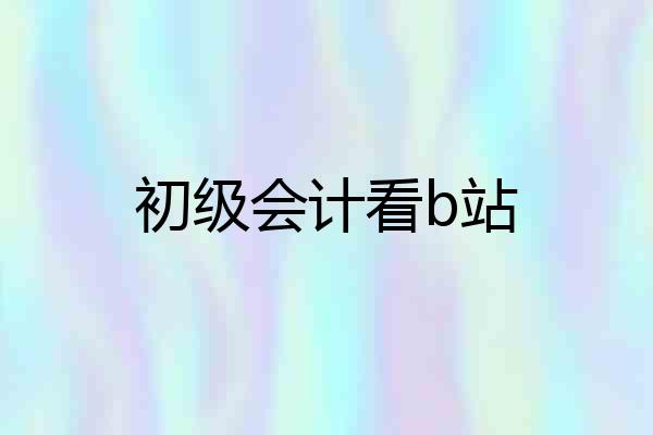 初级会计看b站