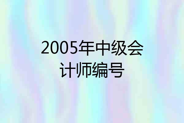 2005年中级会计师编号