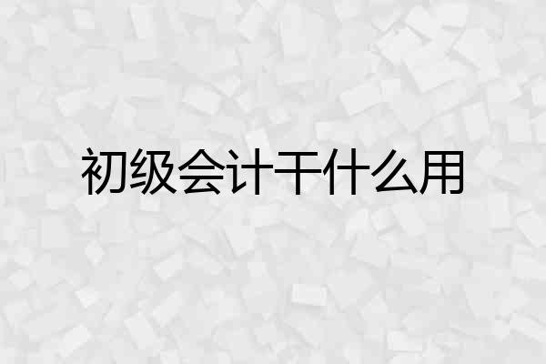 初级会计干什么用