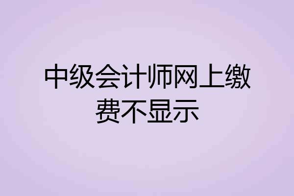 中级会计师网上缴费不显示