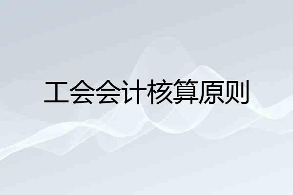 工会会计核算原则