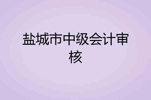 盐城市中级会计审核