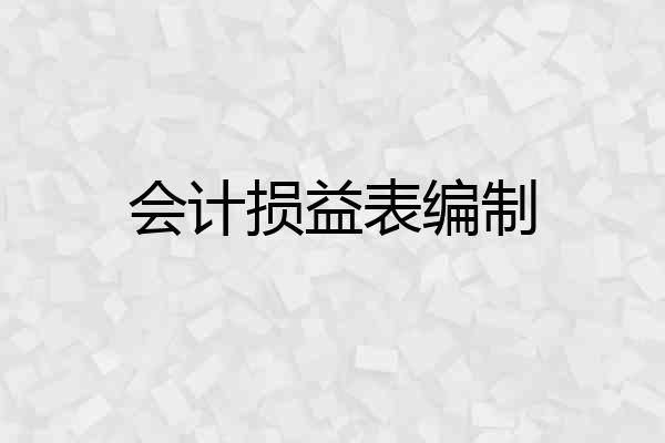 会计损益表编制