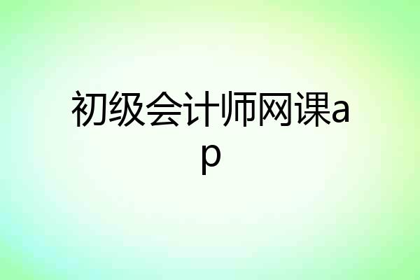 初级会计师网课ap