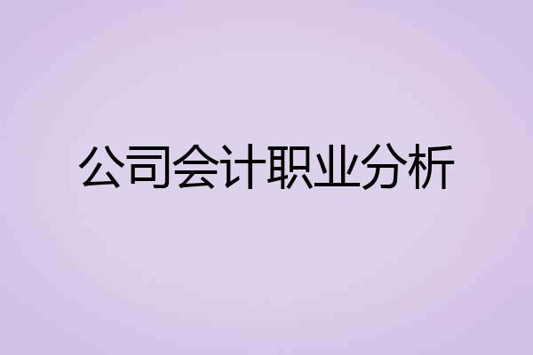 公司会计职业分析