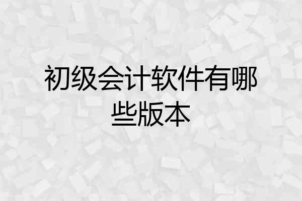 初级会计软件有哪些版本