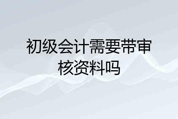 初级会计需要带审核资料吗