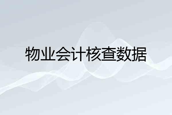 物业会计核查数据
