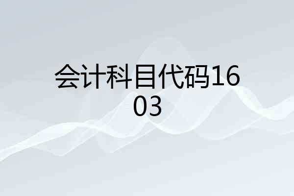 会计科目代码1603