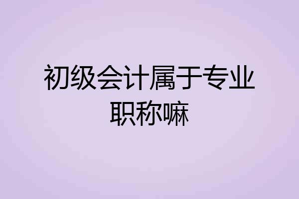 初级会计属于专业职称嘛