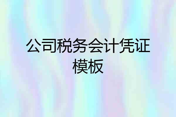 公司税务会计凭证模板