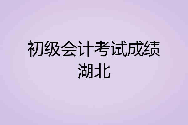 初级会计考试成绩湖北