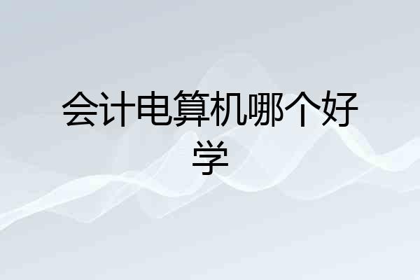 会计电算机哪个好学