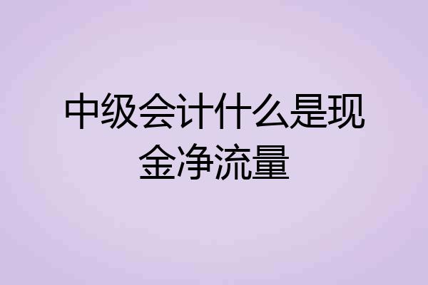 中级会计什么是现金净流量