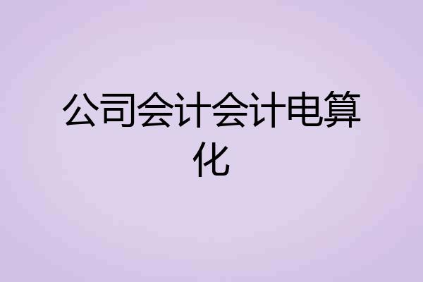 公司会计会计电算化