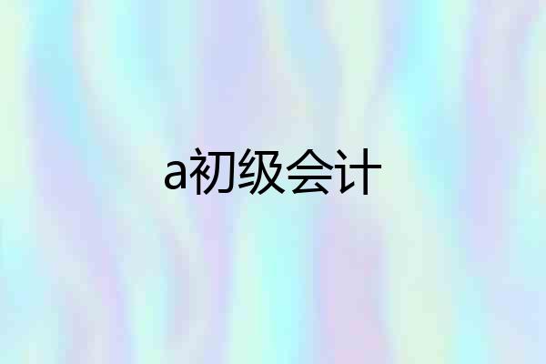 a初级会计
