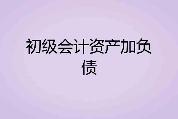初级会计资产加负债