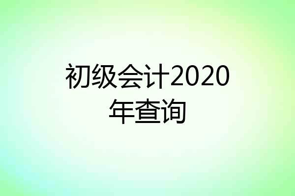 初级会计2020年查询