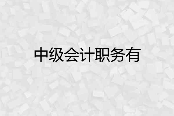 中级会计职务有