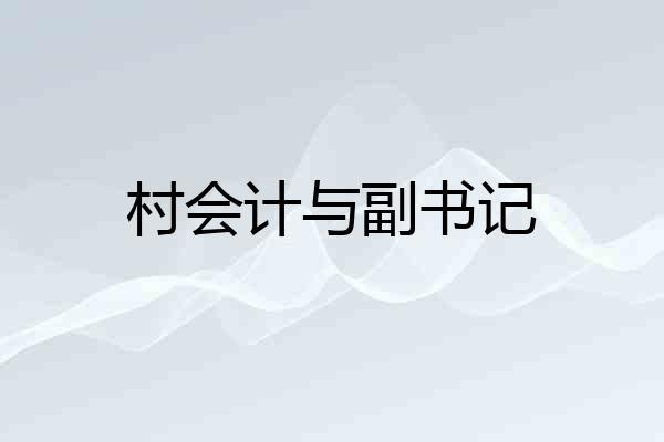 村会计与副书记
